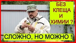 📕 Как лечить варроатоз пчёл без химических акарицидов в любительском пчеловодстве 📕