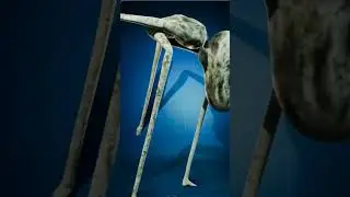 Кто такой Палочный Паук Монстр | Zoonomaly
