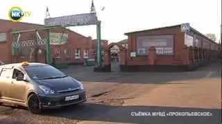 «Слетаются» на свет фар