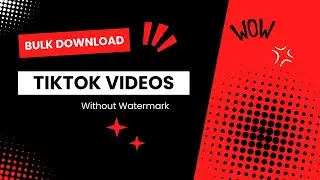 How to Download TikTok Videos in Bulk without Watermark?