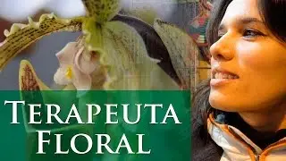 O QUE É TERAPIA FLORAL? - TERAPEUTA FLORAL ALQUÍMICA - PAULA PIRES - SITE: WWW.PAULAPIRES.COM.BR