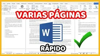 ✅ Como VER VARIAS PÁGINAS a la vez dentro de WORD 2024