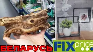 ВЫ ЭТО ВИДЕЛИ? 😍КРУТЫЕ НОВИНКИ FIXPRICE,  БЕЛАРУСЬ 🔥