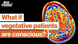 1 in 5 vegetative patients is conscious. This neuroscientist finds them. | Big Think x Freethink