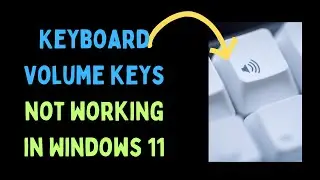 How to Fix Keyboard Volume Keys Not Working in Windows 11