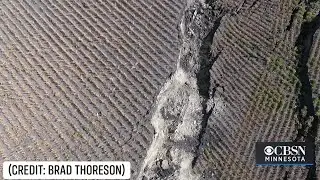 Drone Video Shows Collapsed Bean Field In Northwestern Minnesota