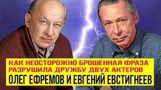 Олег Ефремов и Евгений Евстигнеев как неосторожно брошенная фраза разрушила крепкую дружбу актеров