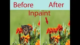 How To Remove Object Form Photo in inpaint