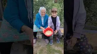 Песня под гармонь в исполнении Юрия Старцева,,Кукушечка,, Узденский район, Толкачевичи