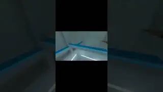 Спорим или нет? 