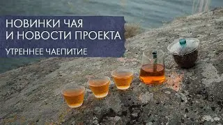 Свежее поступление и приятные новости | Стрим Art of Tea