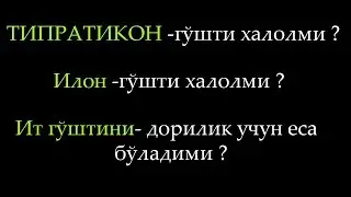 Типратикон гўшти ҳалолми  Илон гўшти ҳалолми  Ит гўштини дорилик учун еса бўладими ?