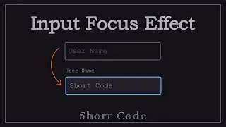 Focusing input fields with HTML, CSS - [Short Code]