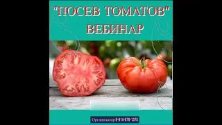 Фрагмент вебинара "Посева томатов". Надежда Марценюк