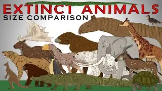 Random Extinct Animals Size Comparison vol2 (Smilodon, Imperial mammoth, Deinotherium, Terror birds)