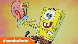 SpongeBob | Gary się zgubił?! | Nickelodeon Polska