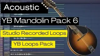 Free Mandolin loops Pack 6 - Mandolin Sample loop kit - Studio Quality #ybloops #punjabiloops |