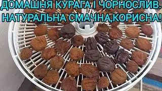 Домашня КУРАГА і ЧОРНОСЛИВ 🍑Легко приготувати навіть без електросушки#курага#чорнослив#домашніцукати