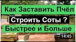 Beekeeping №111 Как заставить пчёл тянуть вощину Лучше и быстрее? Советы старых пчеловодов- пасека