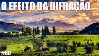 O EFEITO DA DIFRAÇÃO NA FOTOGRAFIA