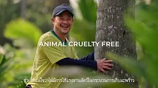 Cruelty-free coconut milk from Thailand - 30sec Subtitle Thai