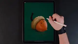 Happy Acorn - Digital Drawing on iPad Pro