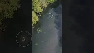 You arrive at this extremely weedy lake... Where are you choosing to fish? 🤔