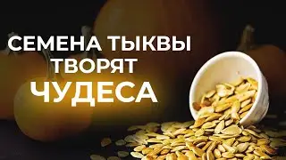 Тыквенные семечки — колоссальная ПОЛЬЗА или ВРЕД? / Семена тыквы для правильного питания