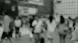 A Busy Street l Free Stock Footage | No Copyright Videos | Download Link Decription !