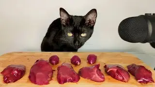 Cat Eating Raw Chicken Liver ASMR