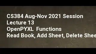 CS384 Aug Nov 2021 Session Lecture 13 OpenPYXL Functions Read Book, Add Sheet, Delete Sheet