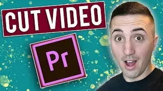 How to Cut Video In Premiere Pro CC 2019