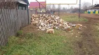 За что мы выплачиваем налог на недвижимость?(Земельные участки, дом). Дикобраз