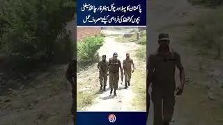 How a Newborn Was Rescued in Toba Tek Singh
