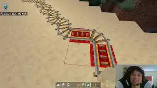 Minecraft Trains 
