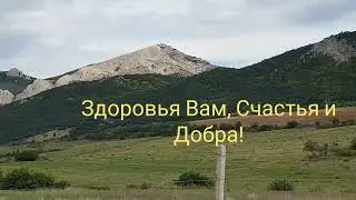 Показываю участки ИЖС с шикарным видом на вулкан, рядом с морем и ландшафтным парком. И цены на них.