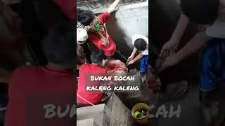 Perjuangan Anak Muda Bukan Kaleng Kaleng