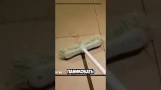ЛАСТ ПИК БРУДА 