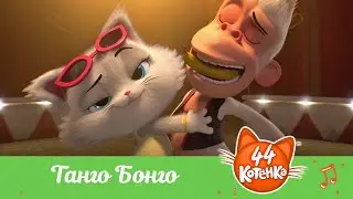 44 Котёнка | 