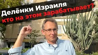 Квартиры делёнки Израиля - кто на этом зарабатывает?