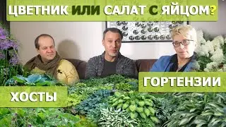 Беседа с ландшафтниками о хостах, гортензиях, эхинацеях и ромашках