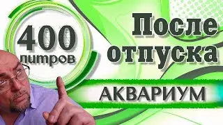 Аквариум 400 литров.  После отпуска.