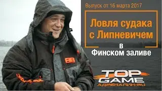 Ловля судака в Финском заливе с Вячеславом Липневичем