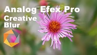 Analog Efex Pro Creative Blur