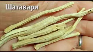 Аюрведа - травы для 5 видов питты - Роберт Грислис