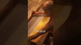 Saree made of real GOLD