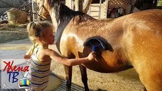 МОЮ ЛОШАДЬ НА КОНЮШНЕ ЛЕТОМ (ЛОШАДИ И ДЕТИ)