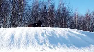 Царь горы 👑🐺 Высоко сижу - далеко гляжу