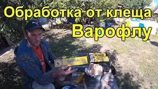 Варофлу обработка пчел от клеща