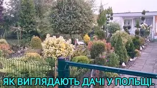 Як виглядають дачі у Польщі🌾🌹Поїхали до лісу🌲🍄#переїзддопольщі#оксанастесенко#якідачіупольщі#дача